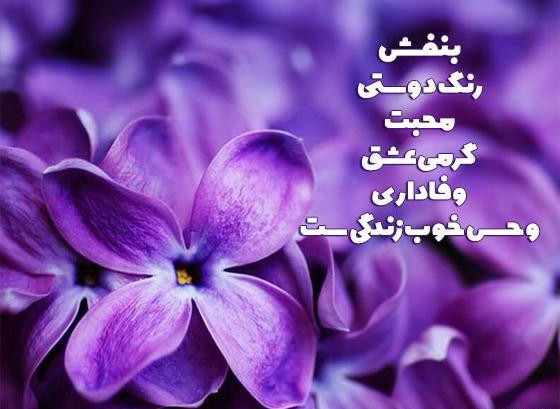 عکس نوشته باحال بنفش