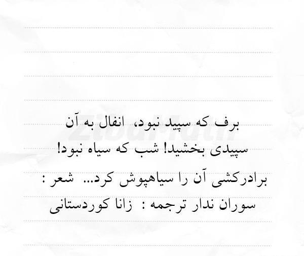 عکس نوشته برادر کشی