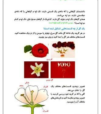 عکس نقاشی گل چهارم ابتدایی