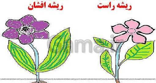 عکس نقاشی گل چهارم ابتدایی