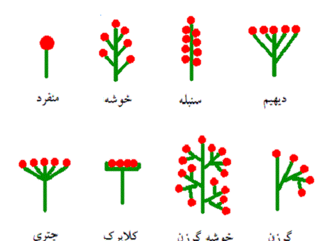 عکس نقاشی گل چهارم ابتدایی