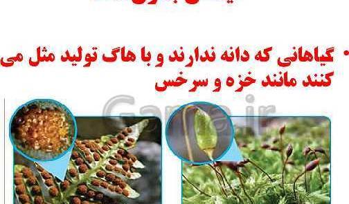 عکس نقاشی گل چهارم ابتدایی