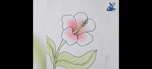 عکس نقاشی گل چهارم ابتدایی
