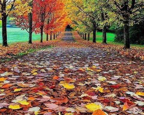 عکس های پاییزی زیبا