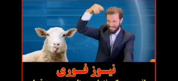 عکس نوشته طنز درباره عید قربان