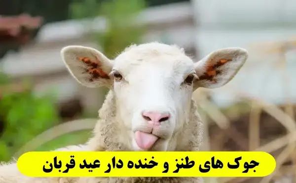 عکس نوشته طنز درباره عید قربان