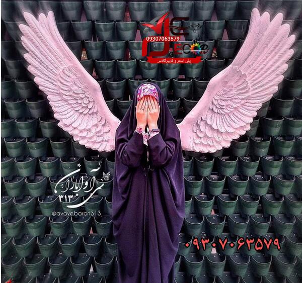 عکس فرشته شاخ
