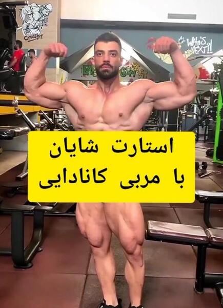 عکس شایان بدنساز معروف تهران