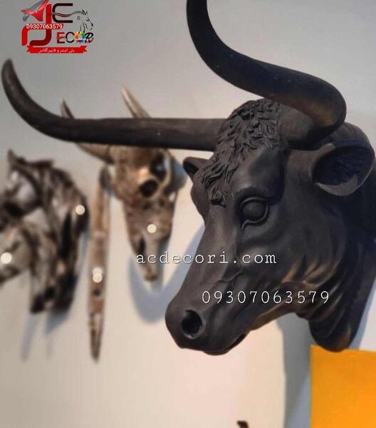 عکس گاو شاخ دار بزرگ