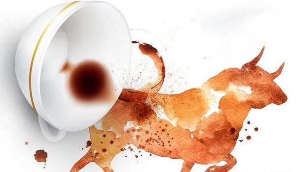 عکس گاو شاخ دار بزرگ