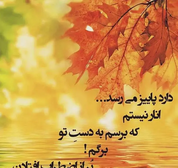 عکس برگ پاییز در دست