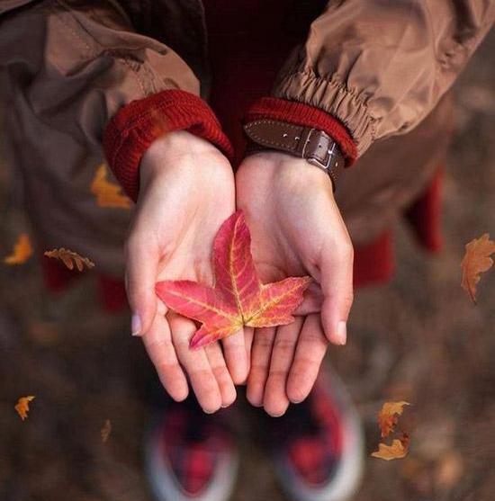 عکس برگ پاییز در دست