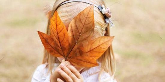 عکس برگ پاییز در دست
