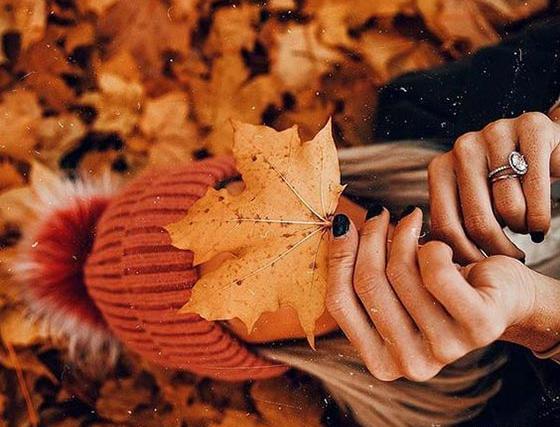 عکس برگ پاییز در دست