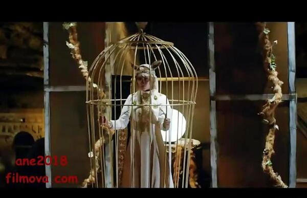 عکس عروسی آهوی پیشونی سفید