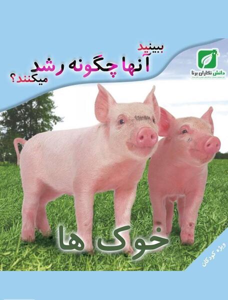 عکس مینی خوک
