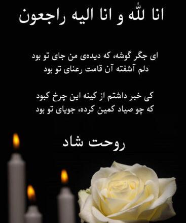 عکس پروفایل پسر دایی روحت شاد