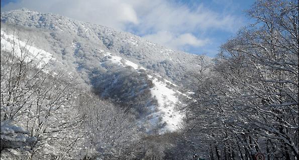 عکس طبیعت گلستان