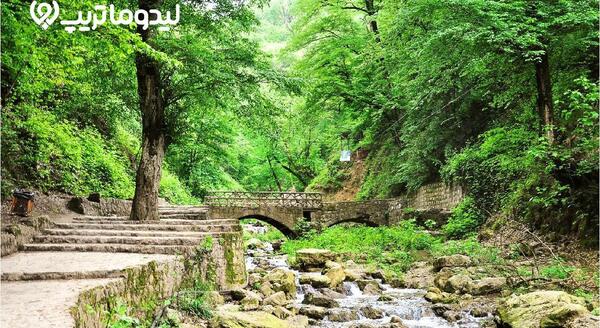 عکس طبیعت گلستان