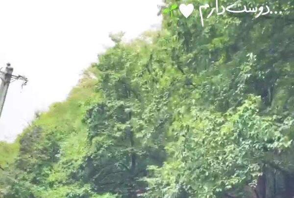 عکس فیک جاده شمال