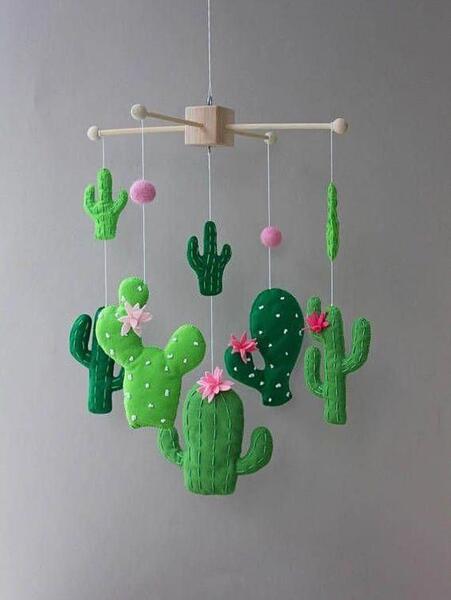 عکس کاکتوس نمدی