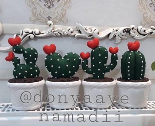 عکس کاکتوس نمدی