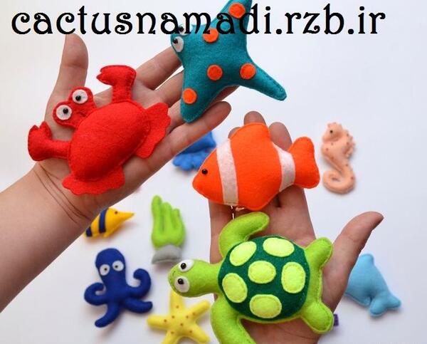 عکس کاکتوس نمدی
