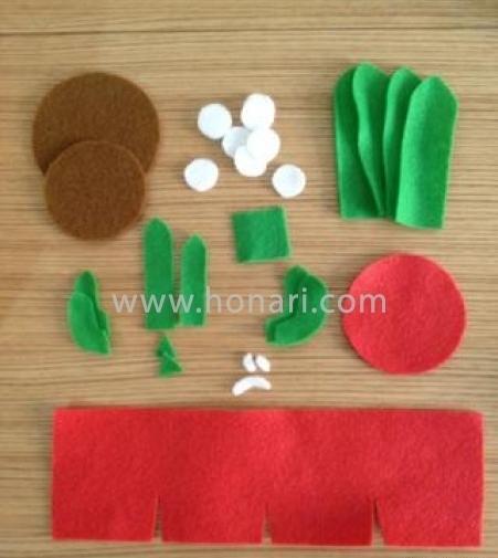 عکس کاکتوس نمدی
