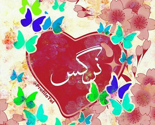 عکس نوشته اسم نرگس عاشقانه