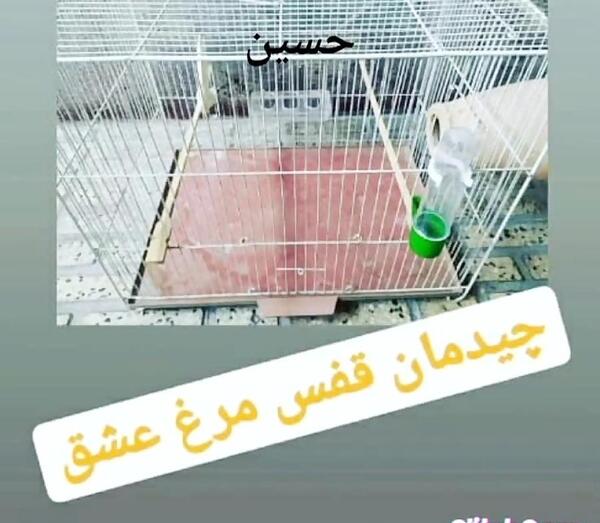 عکس چیدمان قفس مرغ عشق