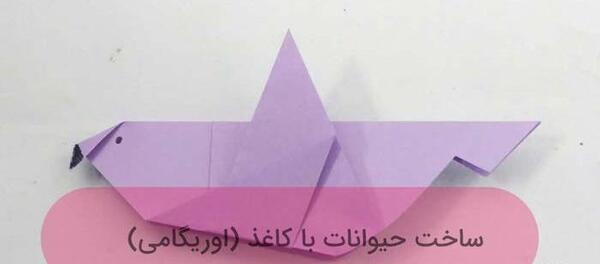 عکس نقاشی حیوانات روی کاغذ رنگی