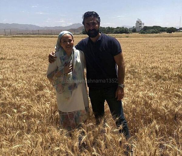 عکس گندم زار زیبا