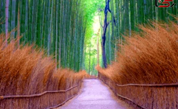 عکس سریال ژاپنی آسا