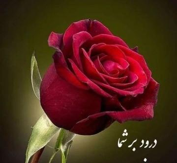 عکس ظهرتون بخیر و شادی