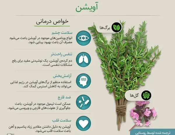 عکس خواص آویشن