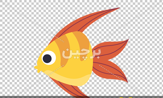 عکس تنگ ماهی نقاشی
