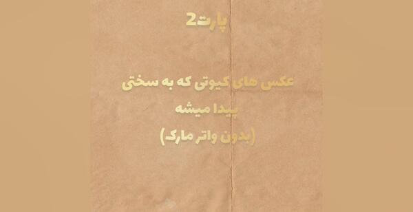 عکس های کیوتی مارک