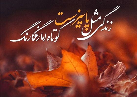 عکس استوری تو پاییزی که گذشت