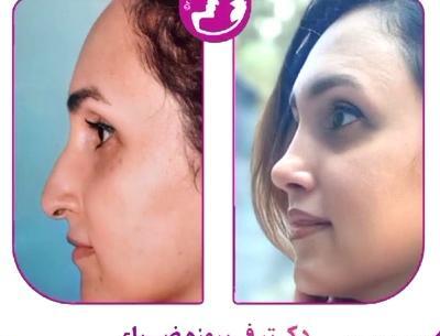 عکس دکتر فیروزه ضیا