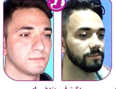 عکس دکتر فیروزه ضیا