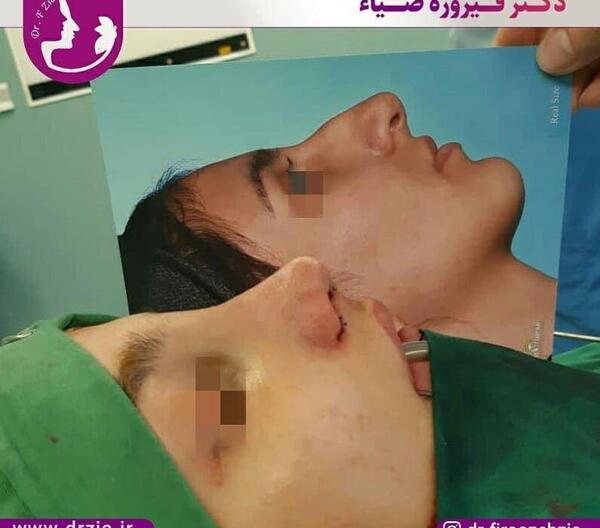 عکس دکتر فیروزه ضیا