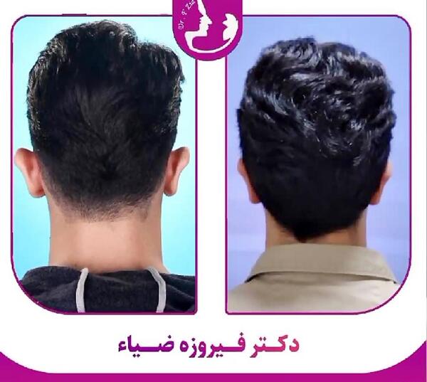 عکس دکتر فیروزه ضیا