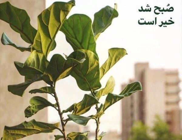 عکس نوشته صبح بخیر امام حسین