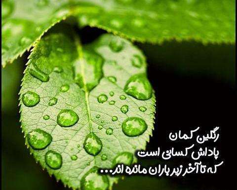 عکس نوشته قطره های باران