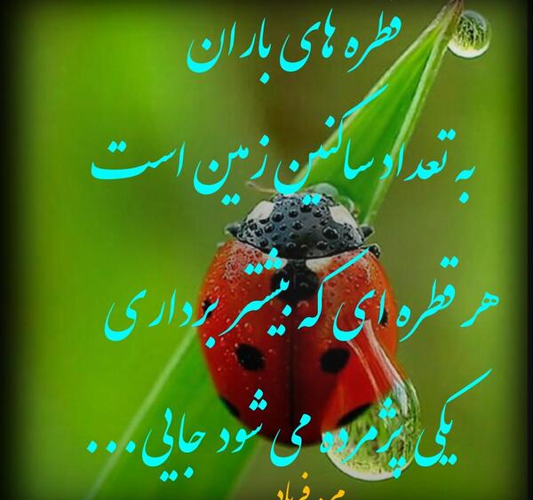 عکس نوشته قطره های باران