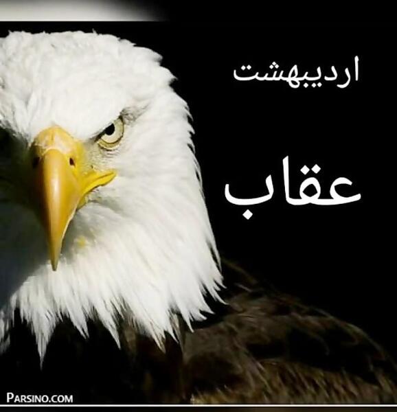 عکس های ماه تولد حیوانات