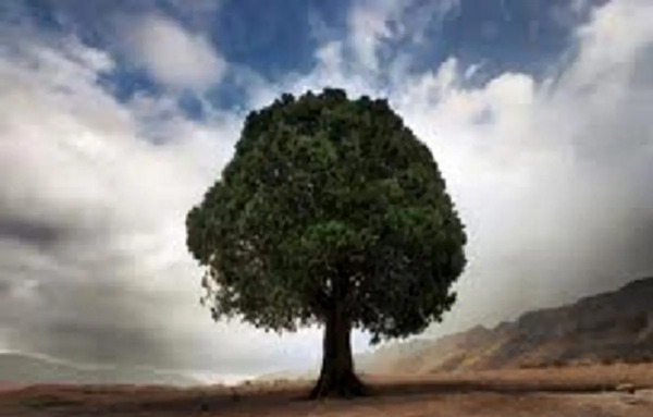 عکس جاده فیروزکوه