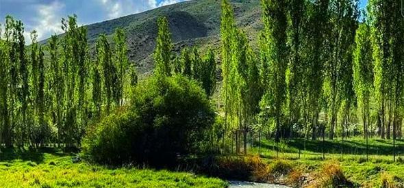 عکس جاده فیروزکوه
