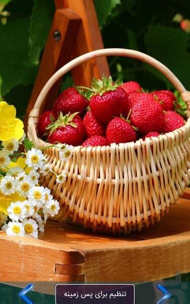 عکس تصویر پس زمینه غذایی