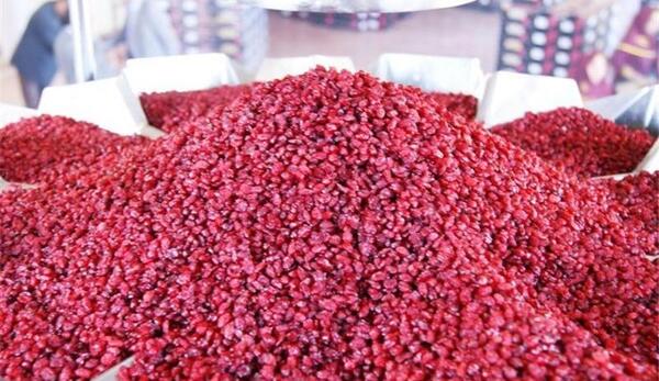عکس زرشک مشهد
